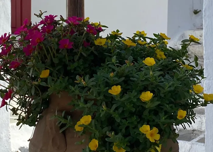 Della Nonna Gasthuis 3*