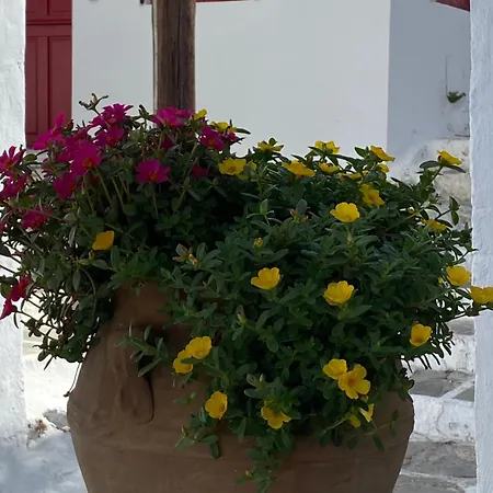 Della Nonna Guest house *